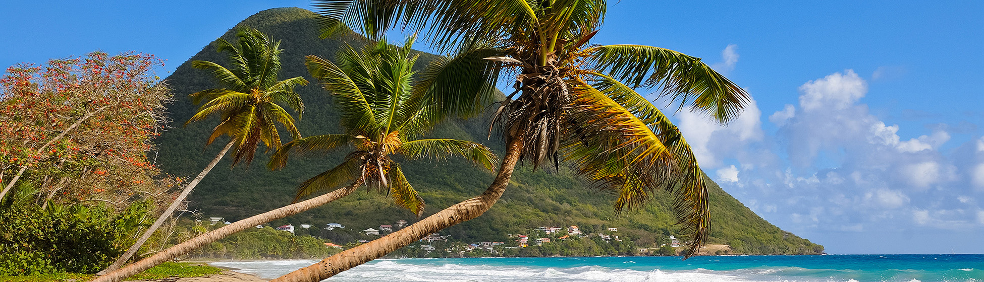 Plage tortue martinique