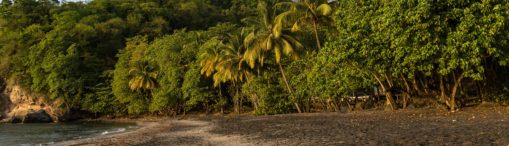 Plage paradisiaque martinique