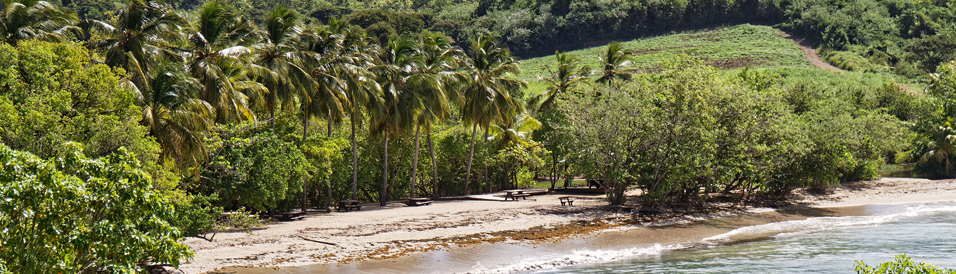 Plage nord martinique