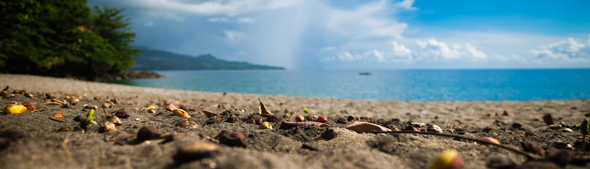 Plage pointe du bout martinique