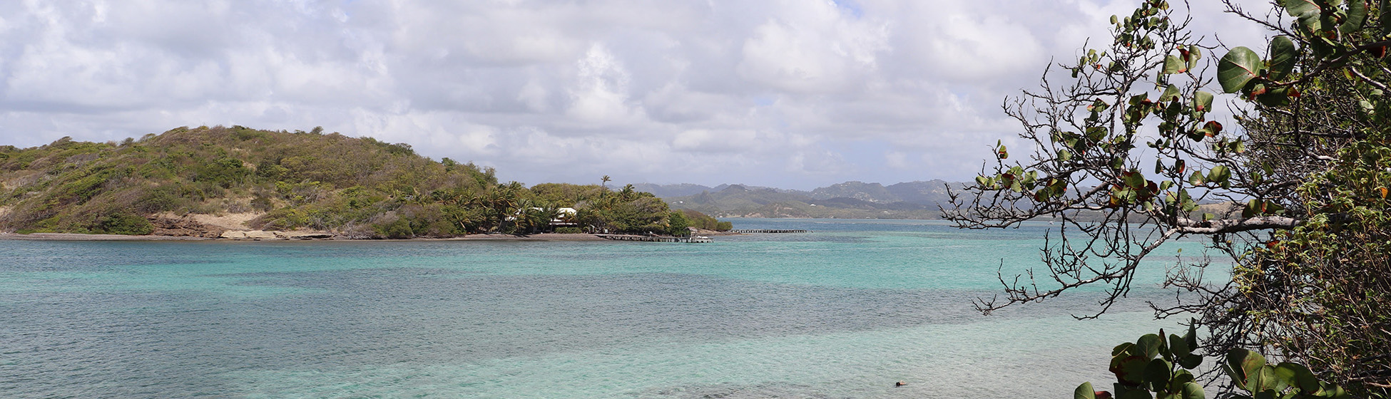 Plage sable blanc martinique