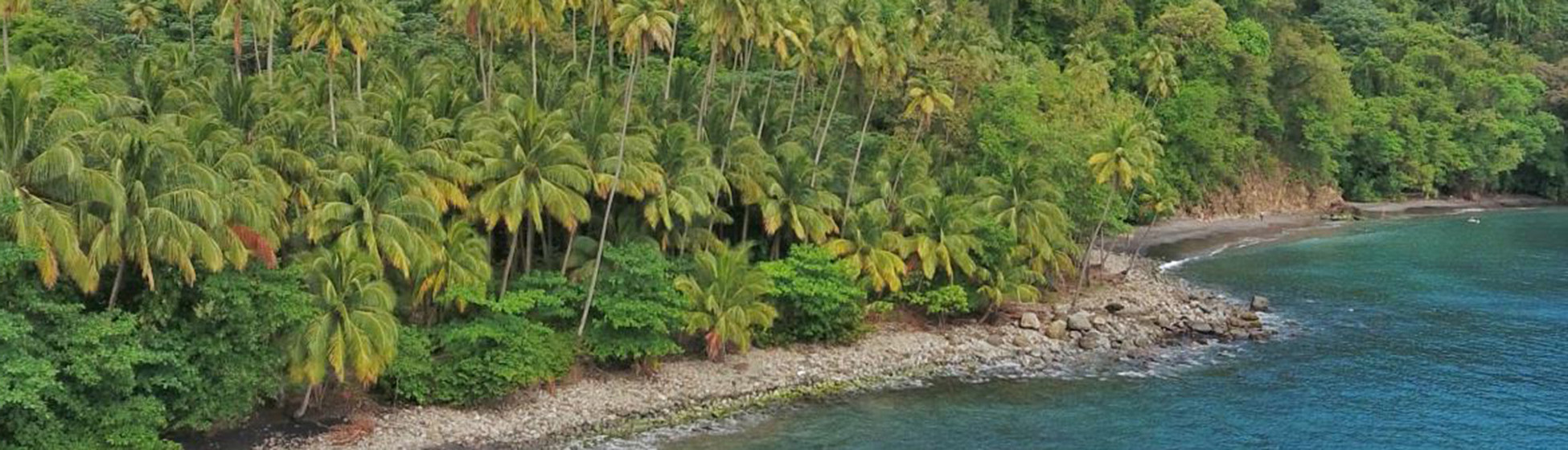 Paysage martinique plage