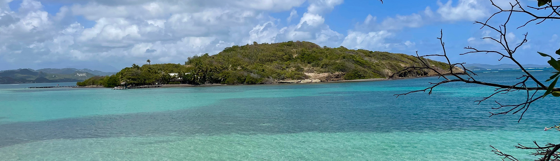 Plage sans sargasse martinique