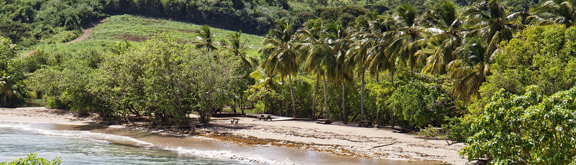 Plage sable noir martinique