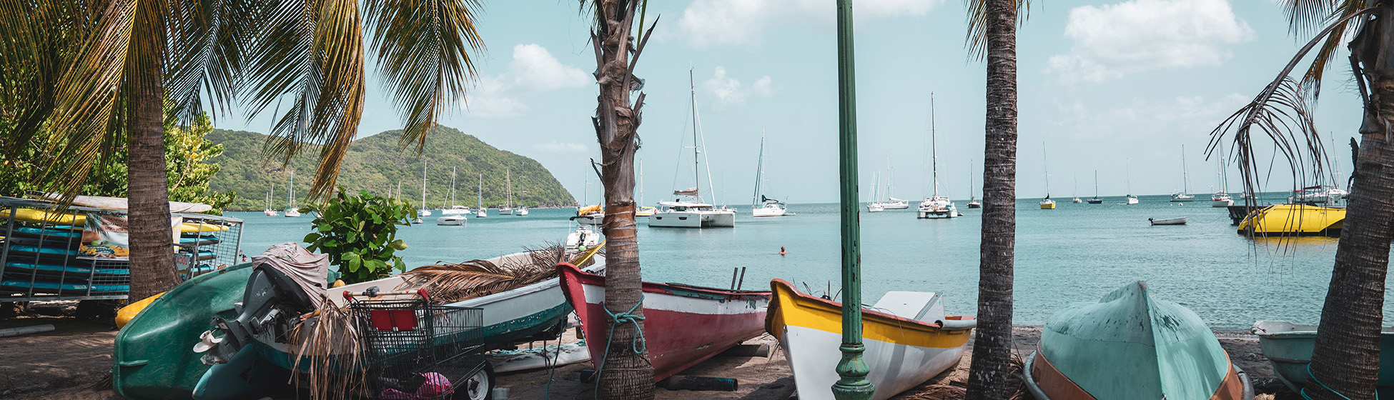 Paysage martinique plage