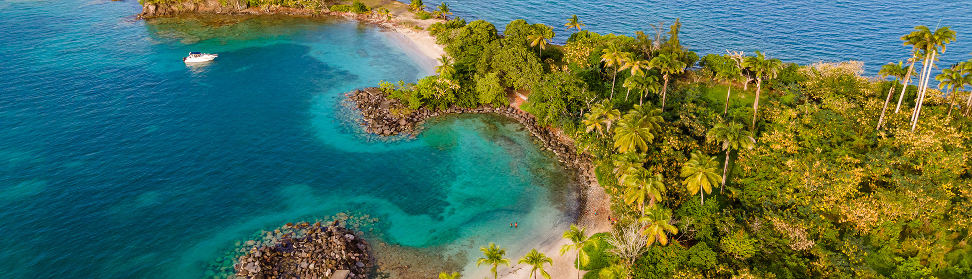 Plage sans sargasse martinique