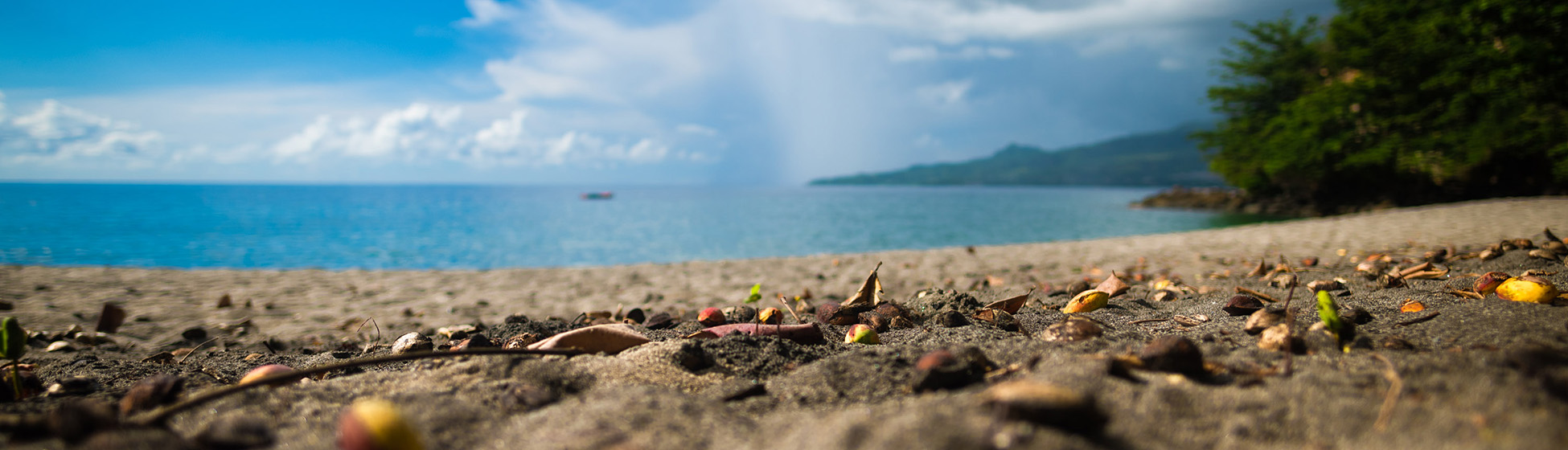 Plage sans sargasse martinique