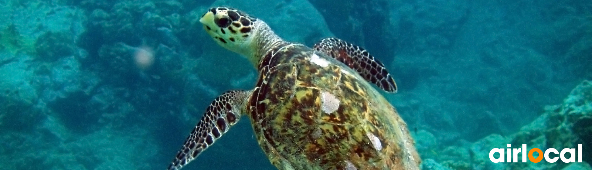 Les 10 plus belle plage de martinique