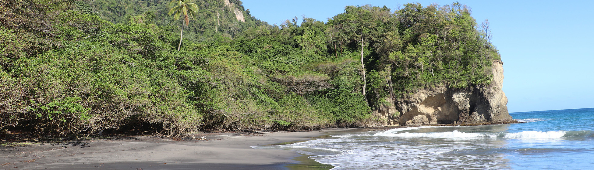 Plage sable noir martinique