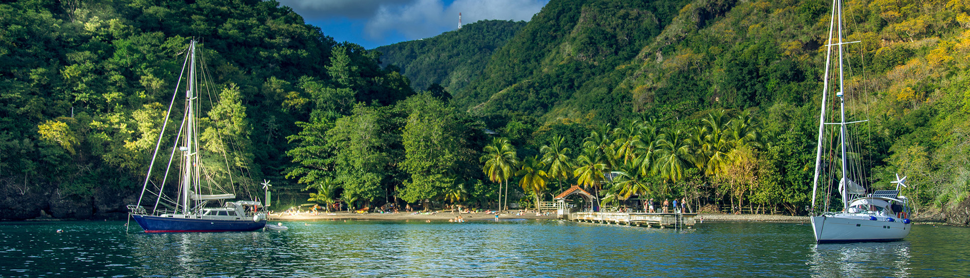 Paysage martinique plage