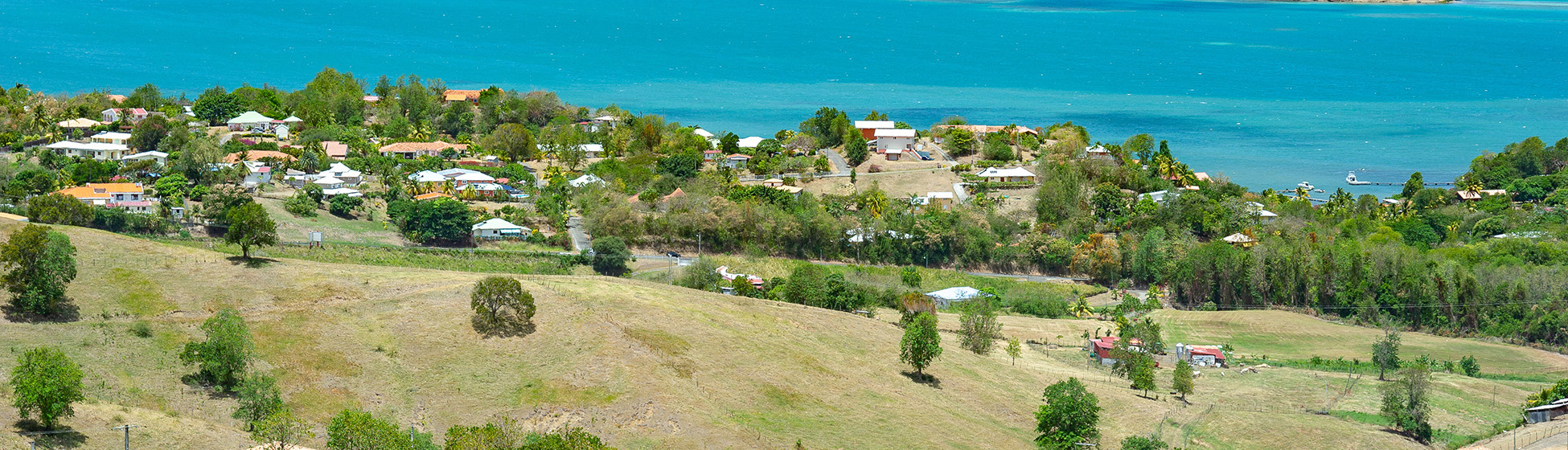 Paysage martinique plage