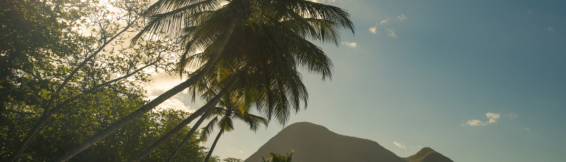 Plage sans sargasse martinique