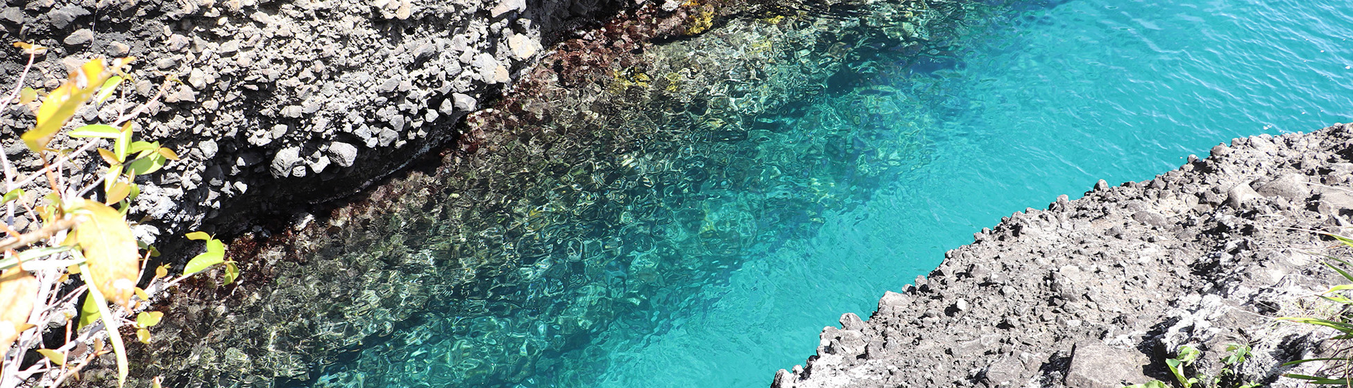 Plage sable blanc martinique