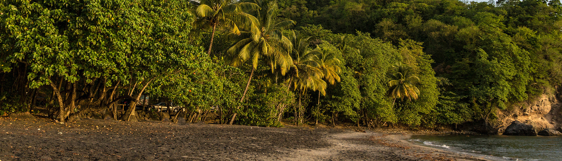 Plage sans sargasse martinique