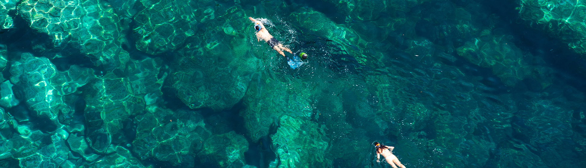 Voyage plongée martinique