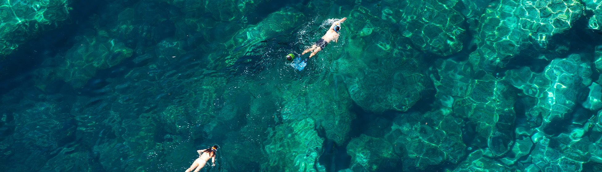 Plongée sous marine martinique