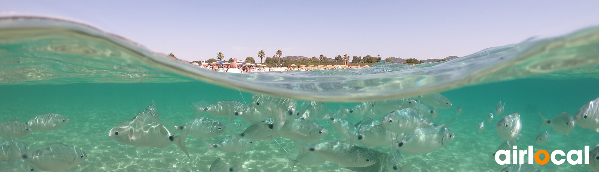 Voyage plongée martinique