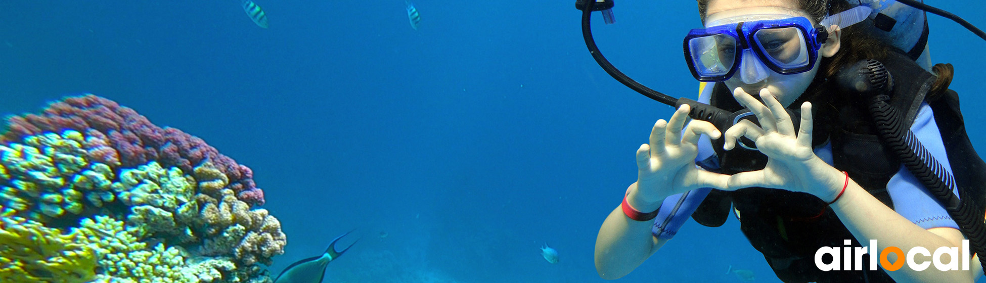 Plongée sous marine martinique