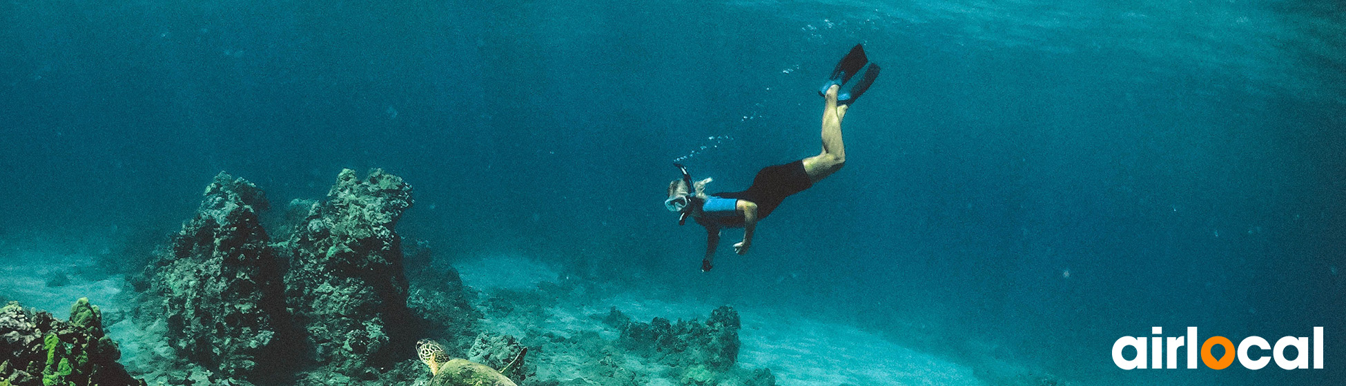 Plongée apnée martinique