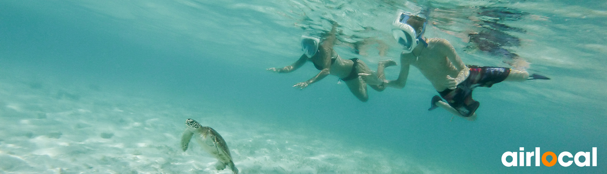 Plongée requin martinique