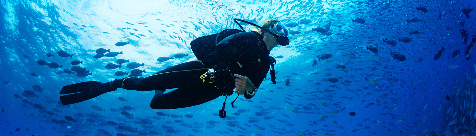 Plongée sous marine martinique