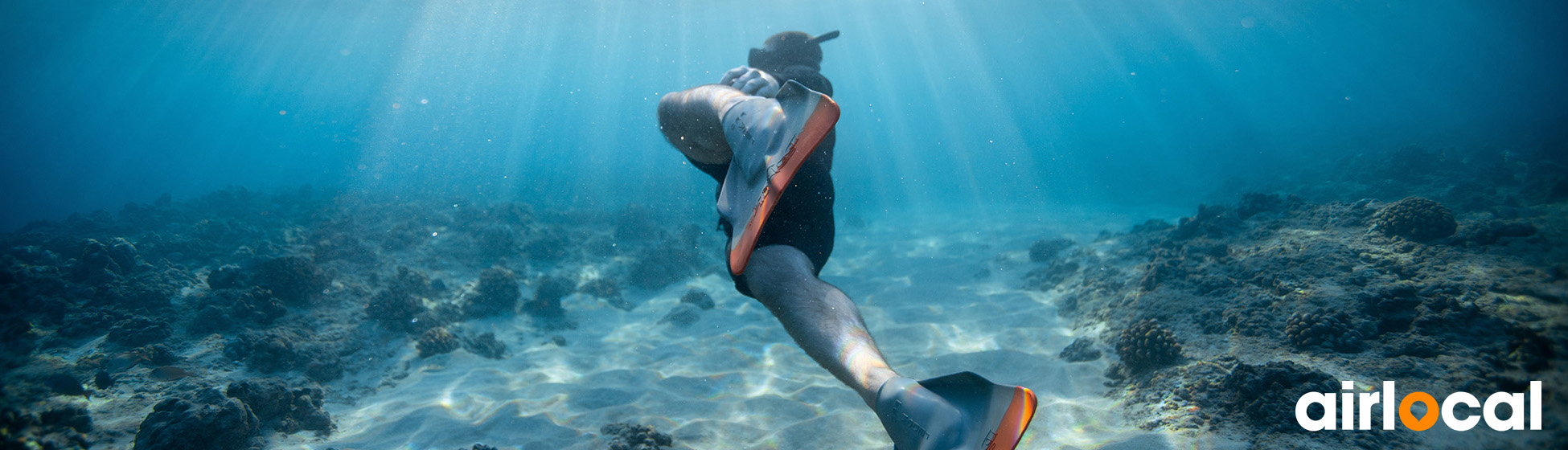 Plongée sous marine martinique