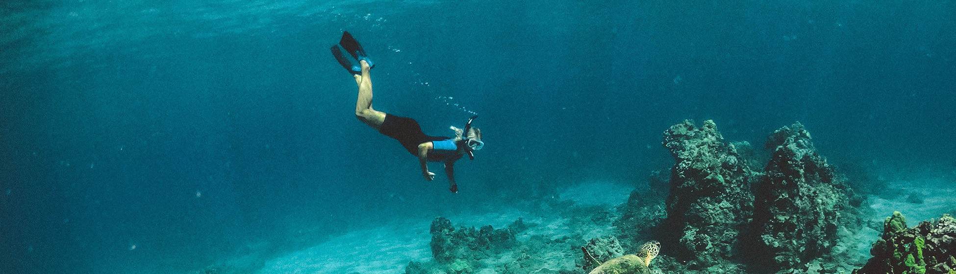 Stage plongée martinique