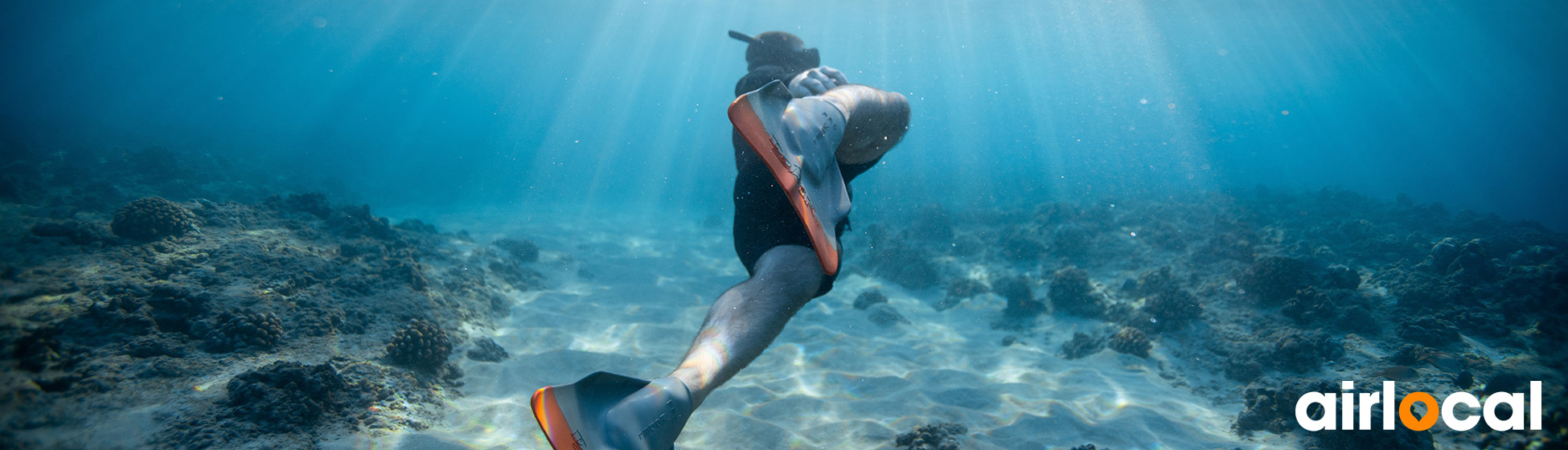 Faire de la plongée en martinique