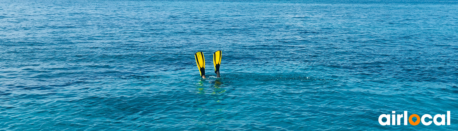 Plongée sous marine martinique tarif