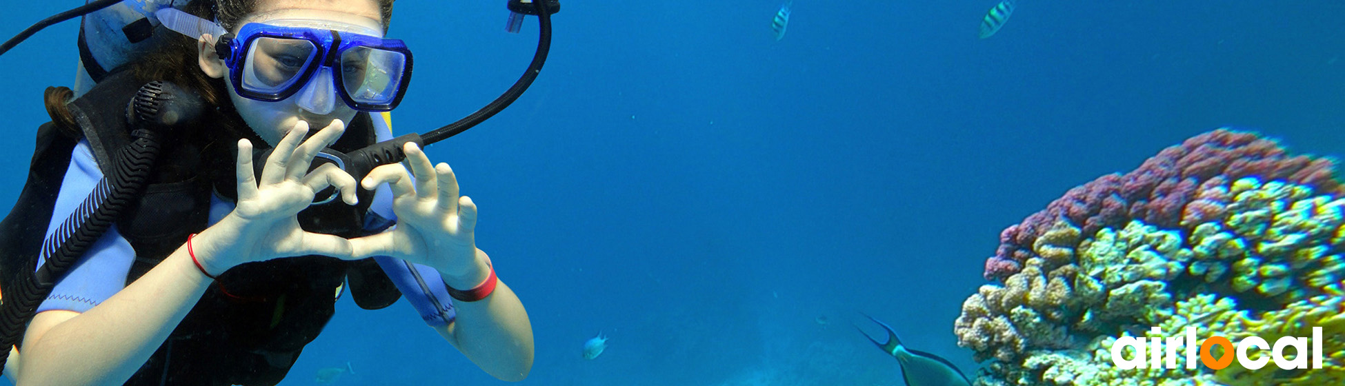 Plongée sous marine martinique tarif