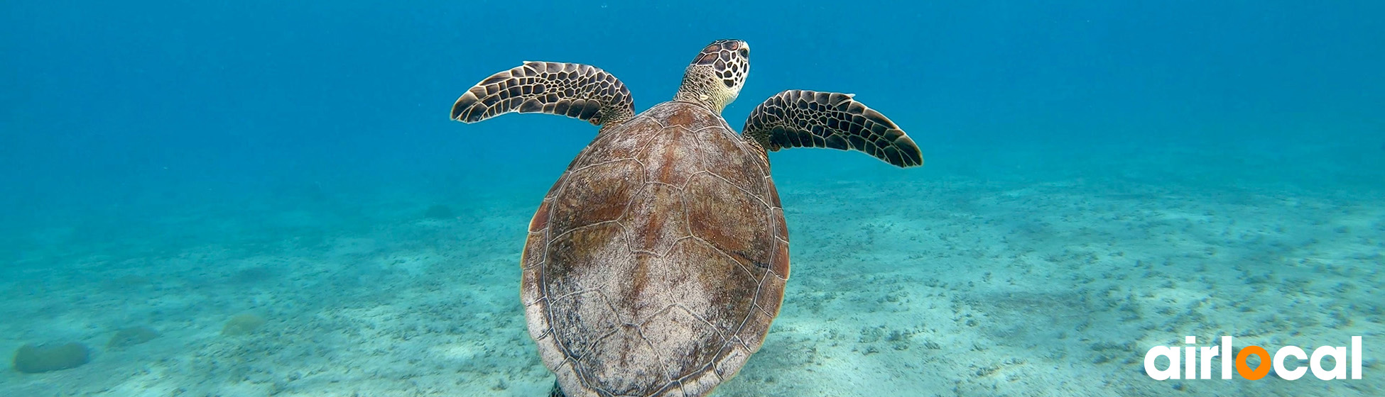 Site plongée martinique