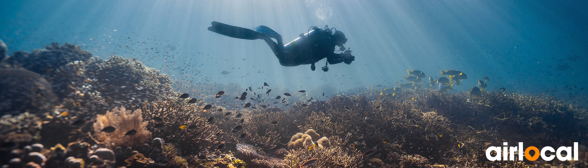 Les plus beaux sites de plongée en martinique