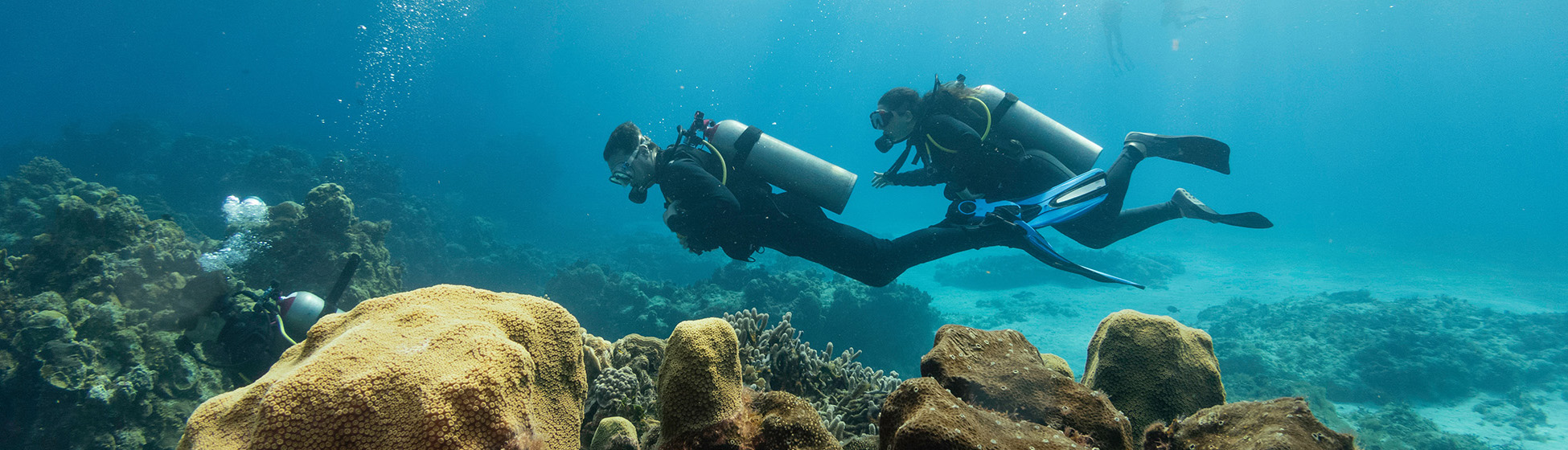 Plongée sous marine martinique tarif