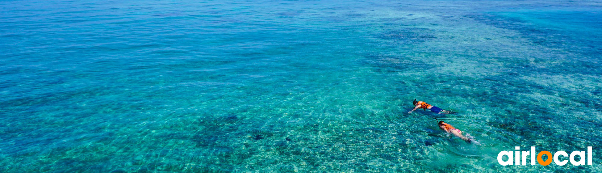 Plongée sous marine martinique