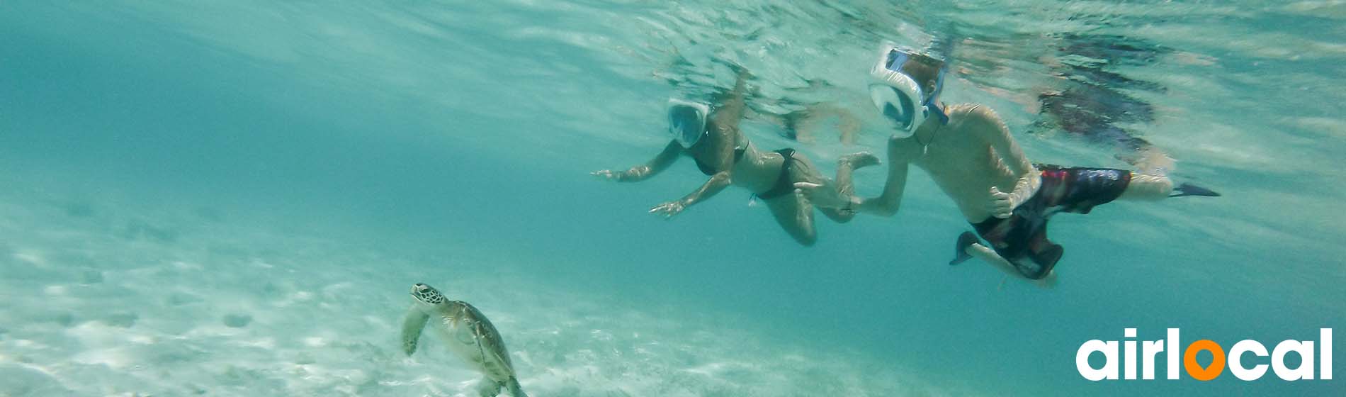 Spot snorkeling martinique Sainte-Anne (97227)