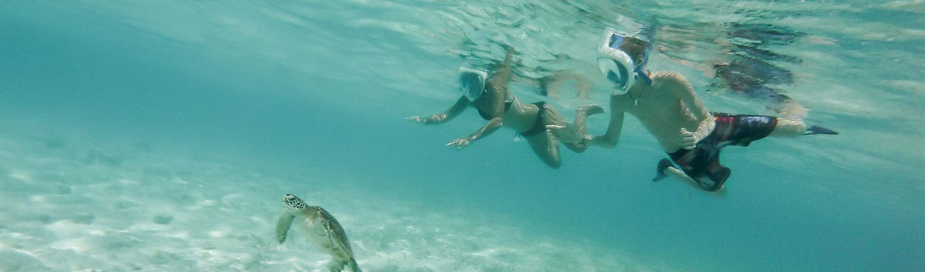 Spot snorkeling martinique