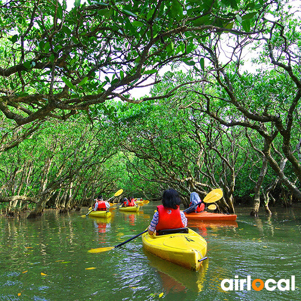 Excursions martinique