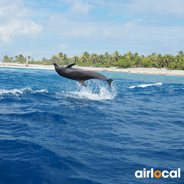 Sortie bateau martinique