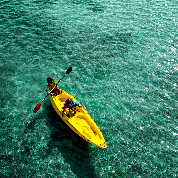 Excursion en mer martinique