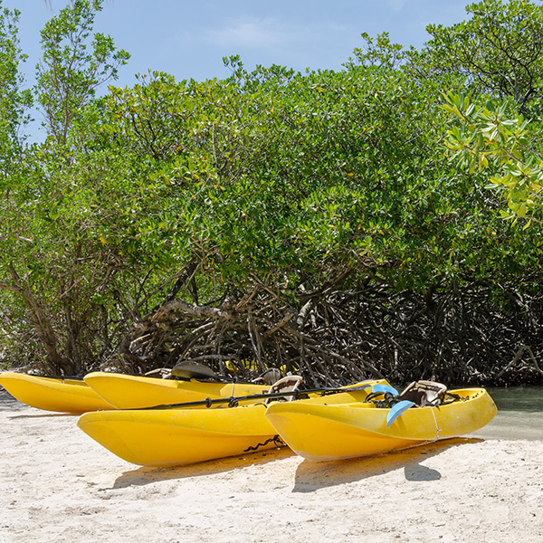 Excursions martinique