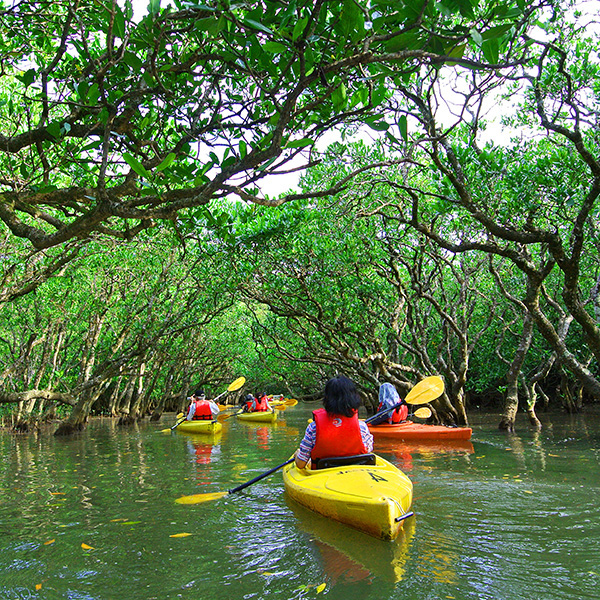 Balade en bateau martinique