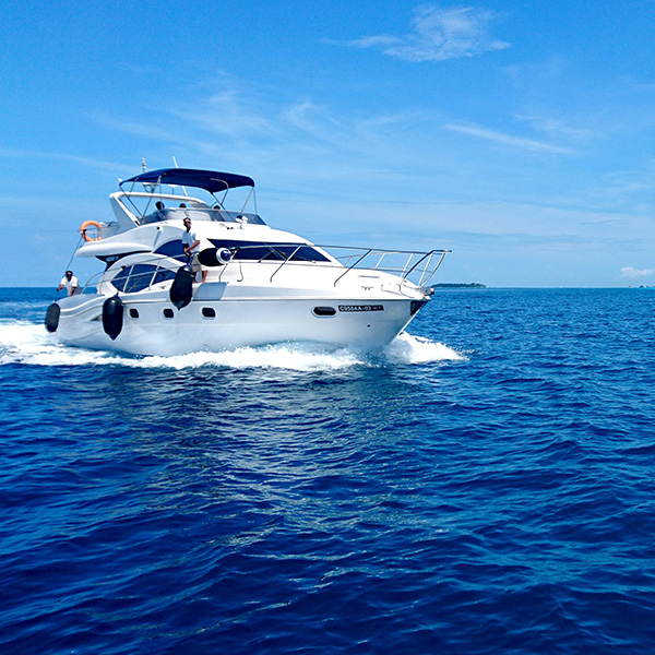 Balade en bateau martinique