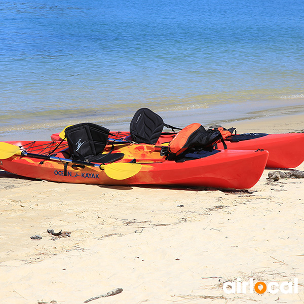 Excursion en mer martinique