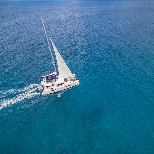 Excursion en mer martinique