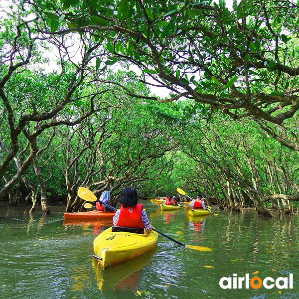 Excursion bateau martinique