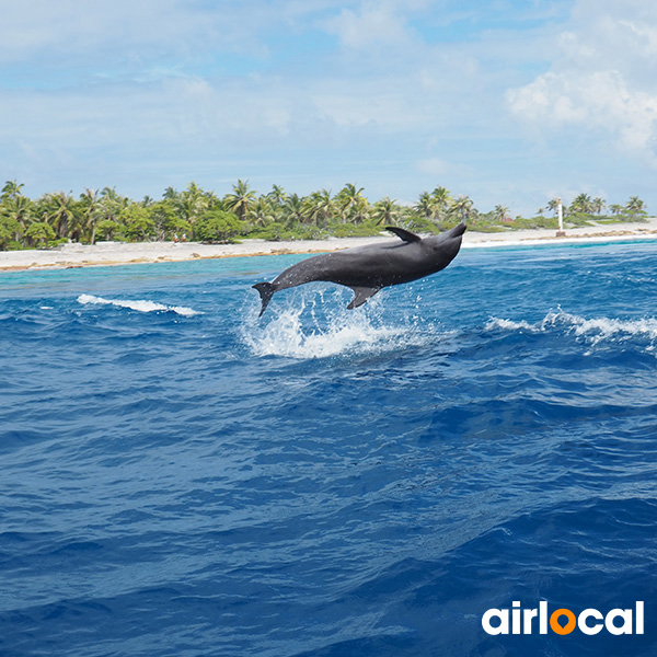 Excursion bateau martinique