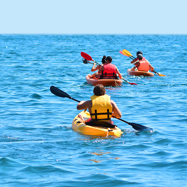 Excursion en mer martinique