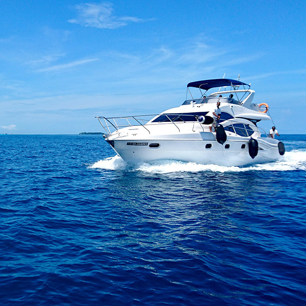 Journée bateau martinique