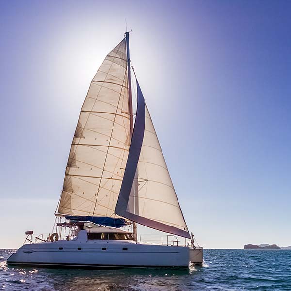 Privatisation catamaran martinique