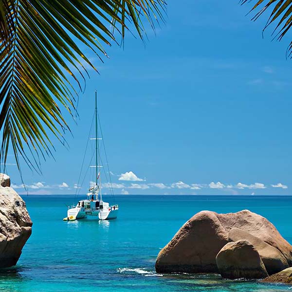 Privatisation catamaran martinique